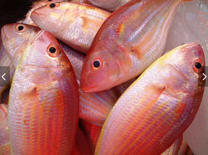 दाढा  - Thread fins