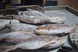 करकरा - Groupers