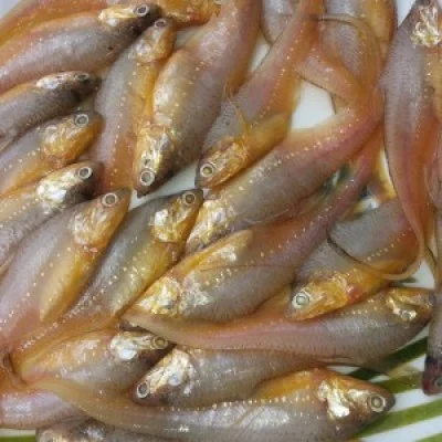 मांदेली  - Golden Anchovye