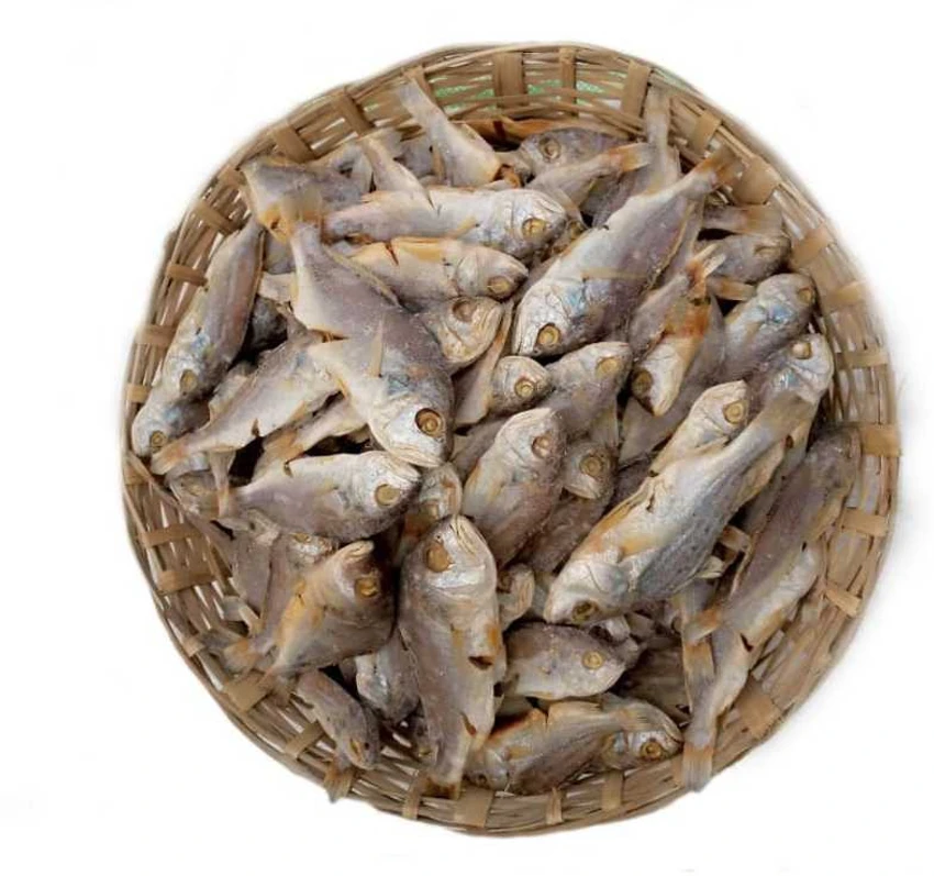 घोळ  - Jew fish